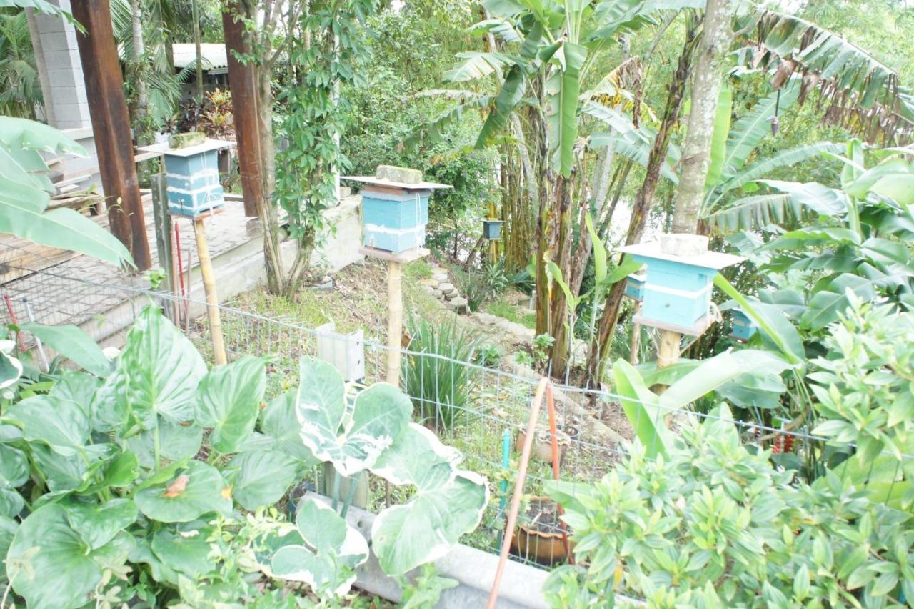 Hotel Naturalis Paranagua Bagian luar foto